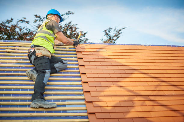 Fast & Reliable Emergency Roof Repairs in Malone, FL